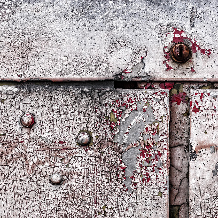Peeling Paint on Metal Photograph by Carol Leigh
