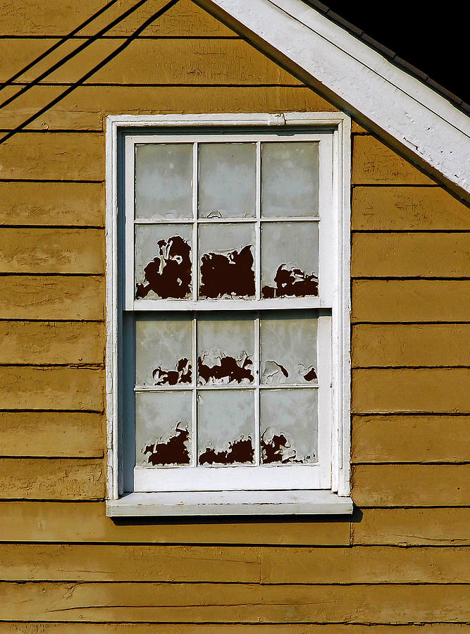 Window Photograph - Peeling Window by Murray Bloom