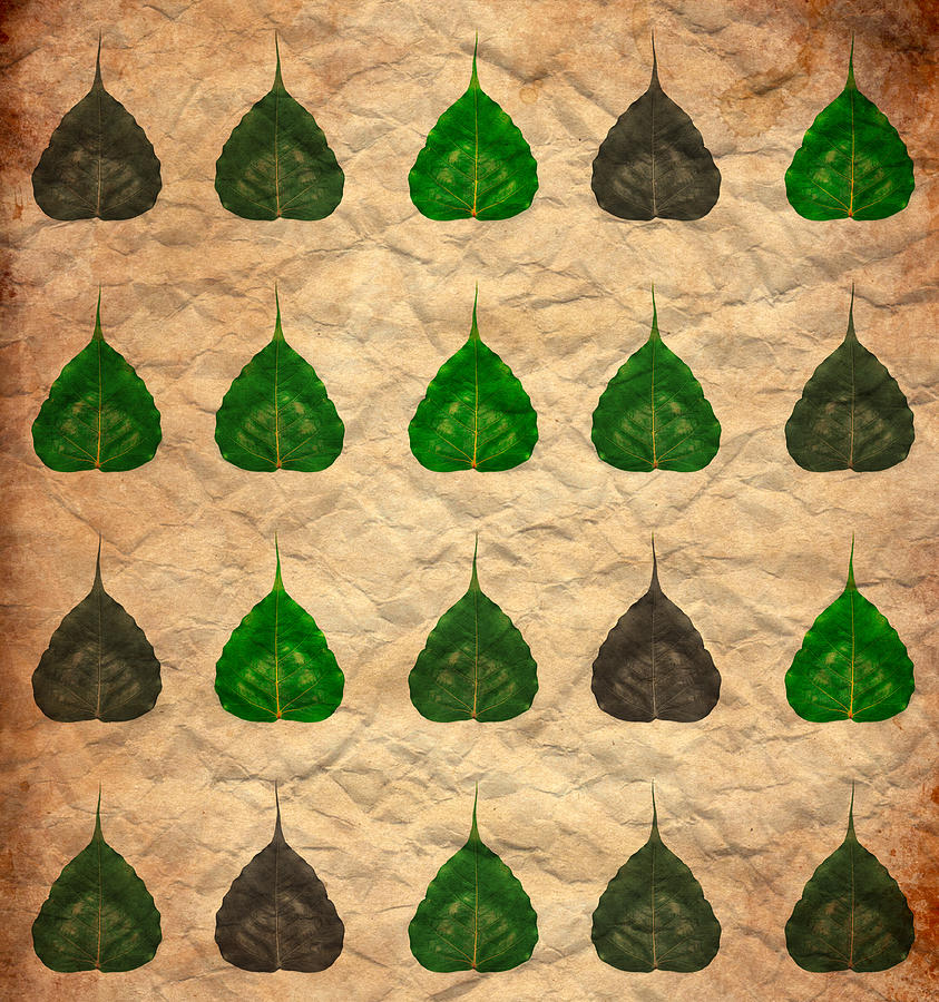 peepal tree leaf drawing - Clip Art Library