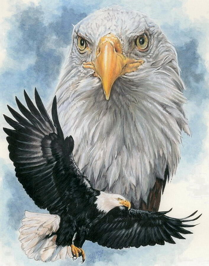 Eagle Mixed Media - Peerless by Barbara Keith