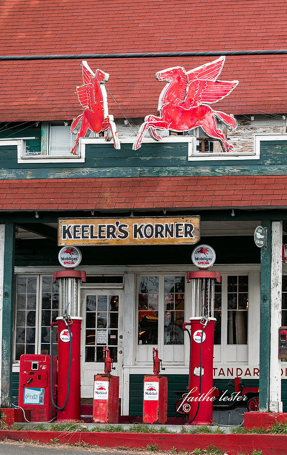 Pegasus at Keelers Korner I #2 Photograph by E Faithe Lester