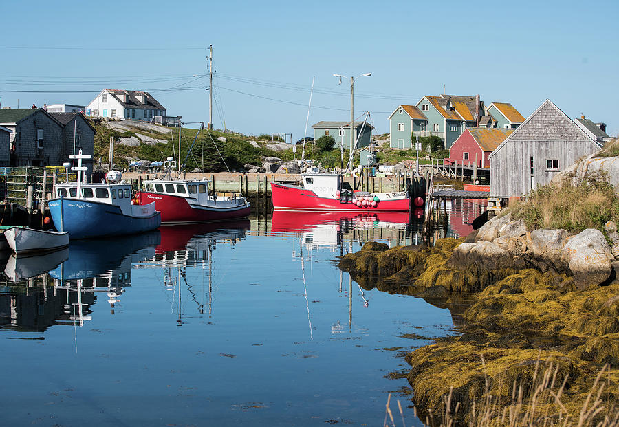 Peggy's Cove Harbor 4 Photograph by Bob Jensen - Pixels