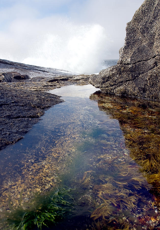 Peggys Cove tide pool Photograph by Steve Somerville