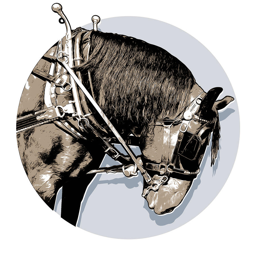 Prince Edward Island Digital Art - PEI Tour Horse by Greg Joens