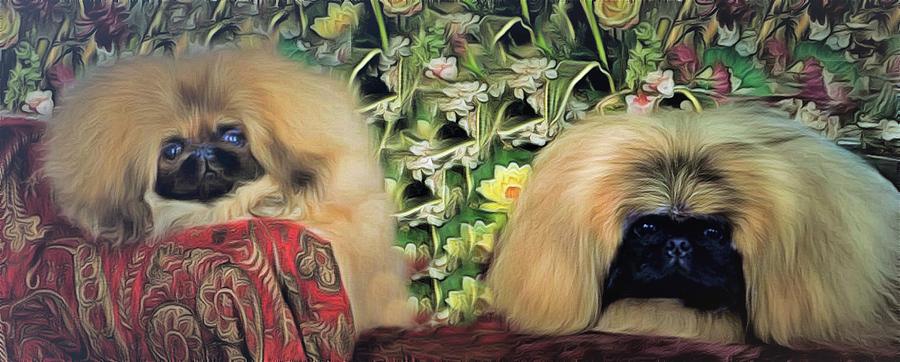 Pekingese And Pup Painting by Janice MacLellan