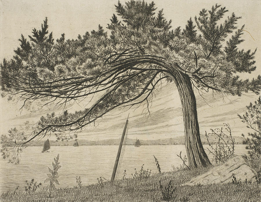 Pelham Bay Relief by Henry Farrer