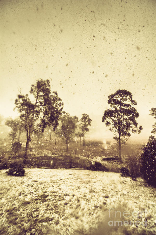 Pelham Snowstorm Photograph