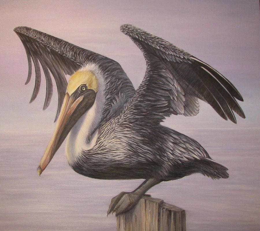 Pelican Painting - Pelican 2 Wings Spread by Judy Merrell
