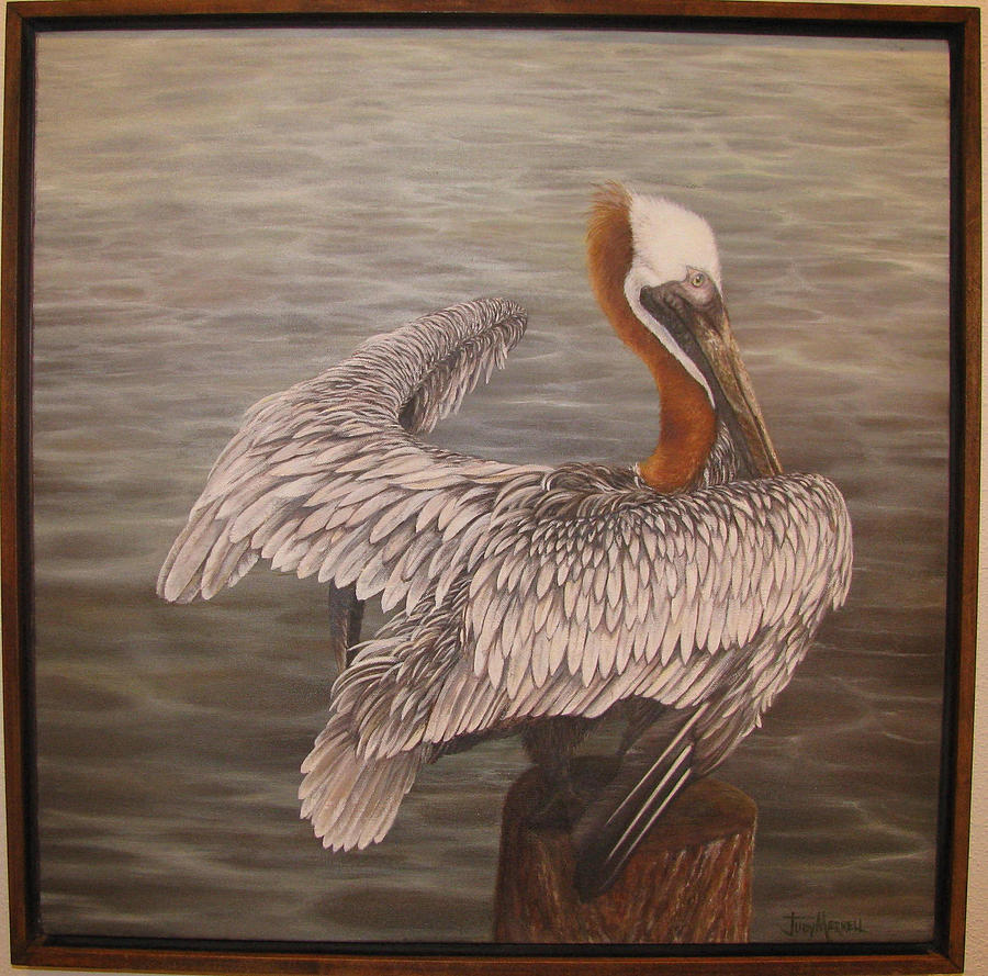 Pelican 3 Brown Painting by Judy Merrell