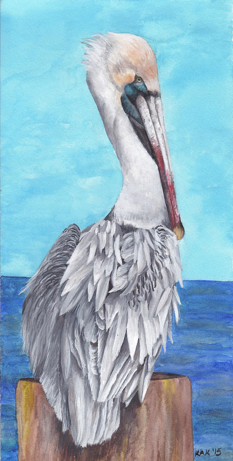 Pelican 3 Painting by Katherine Klimitas - Fine Art America