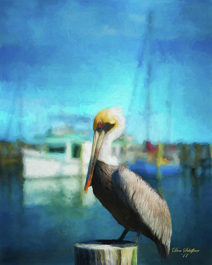 Pelican and Boats Digital Art by Don Schiffner