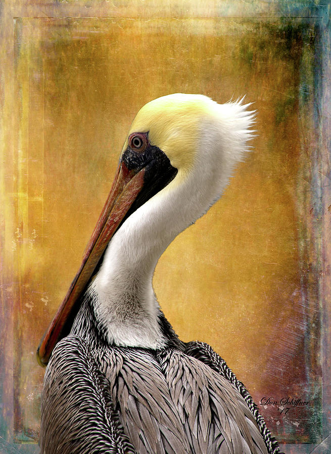 Pelican and Gold Digital Art by Don Schiffner