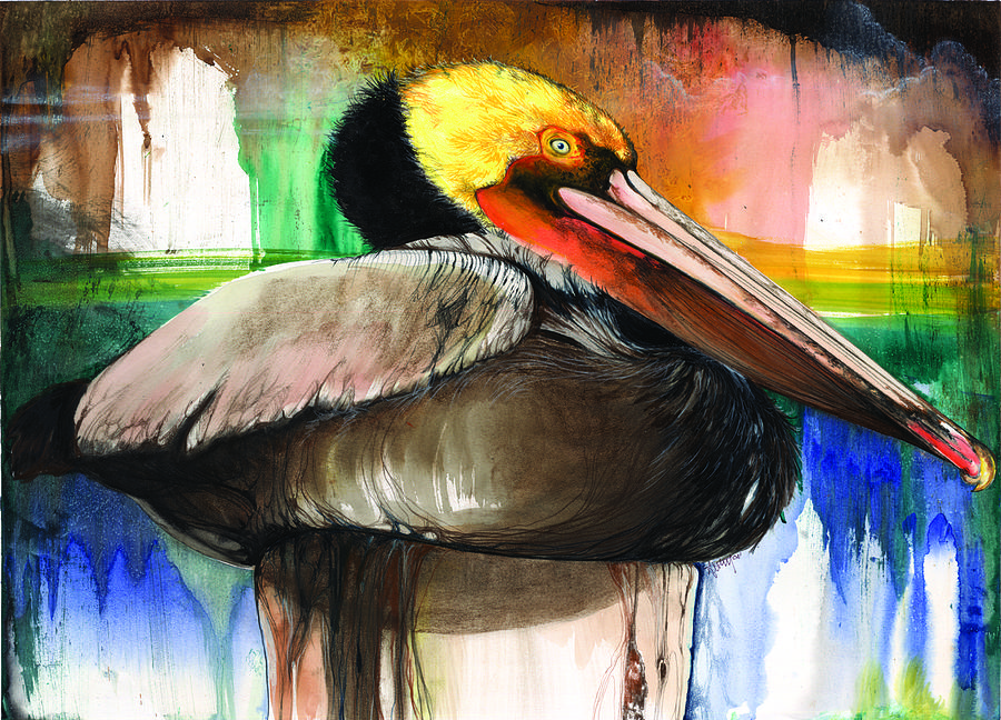 Pelican Mixed Media by Anthony Burks Sr