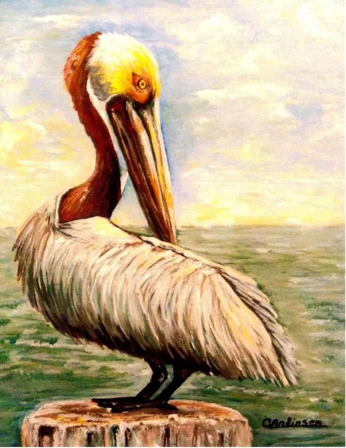 Pelican at rest Painting by Carol Allen Anfinsen