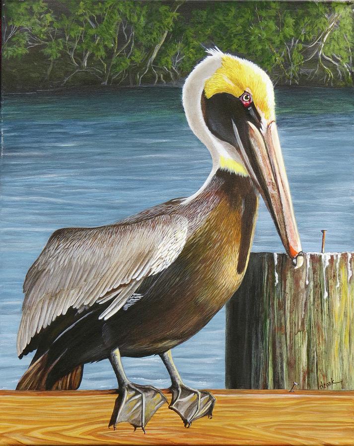 Pelican at Rest Painting by Diane Cook - Fine Art America