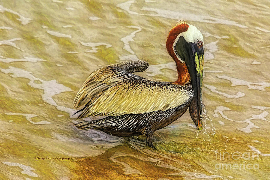 Pelican at the Beach Painting by Deborah Benoit
