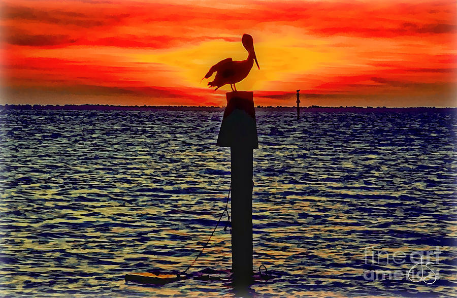 Pelican Bay Photograph by John S Stewart