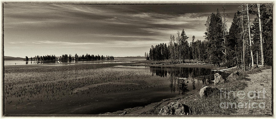 Pelican Bay Morning - Yellowstone Photograph by Sandra Bronstein