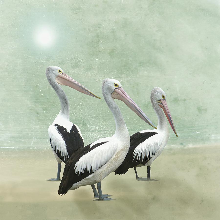 Pelican Beach Painting by David Dehner