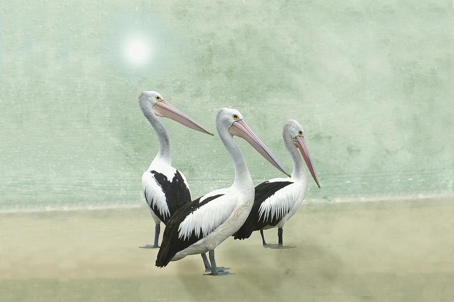 Pelican Beach Long Painting by David Dehner