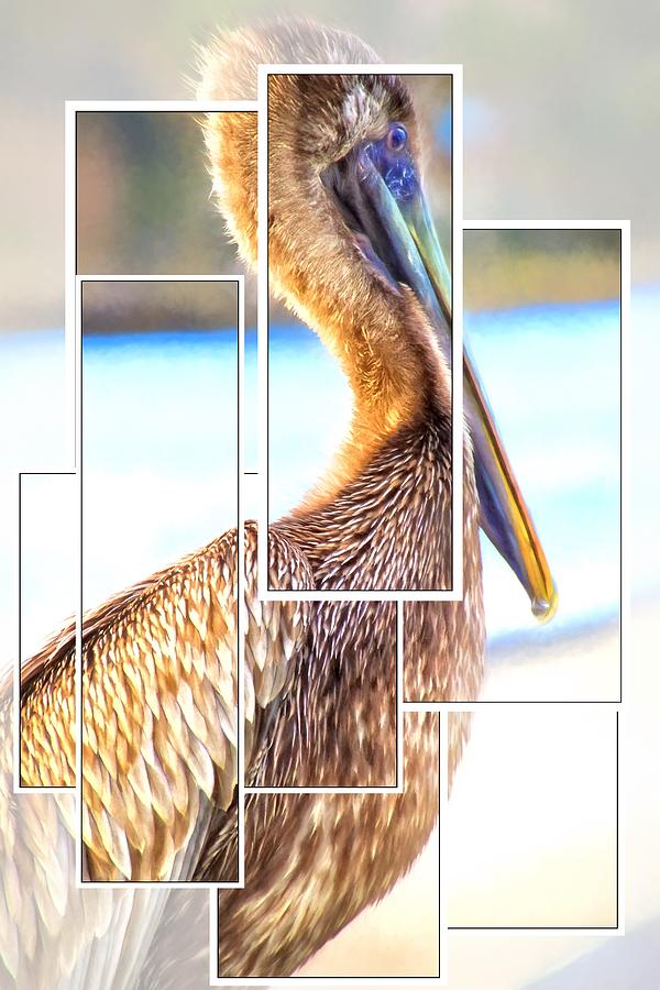 Pelican Blocks Photograph by Alice Gipson