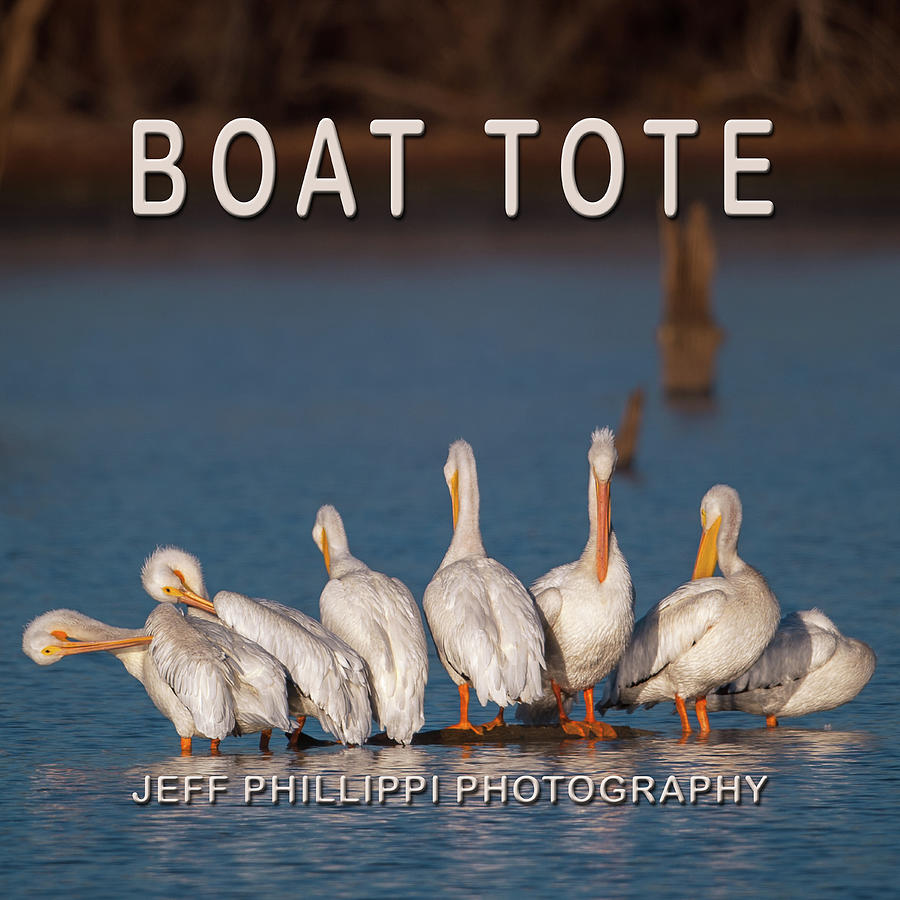Pelican Boat Tote Photograph by Jeff Phillippi