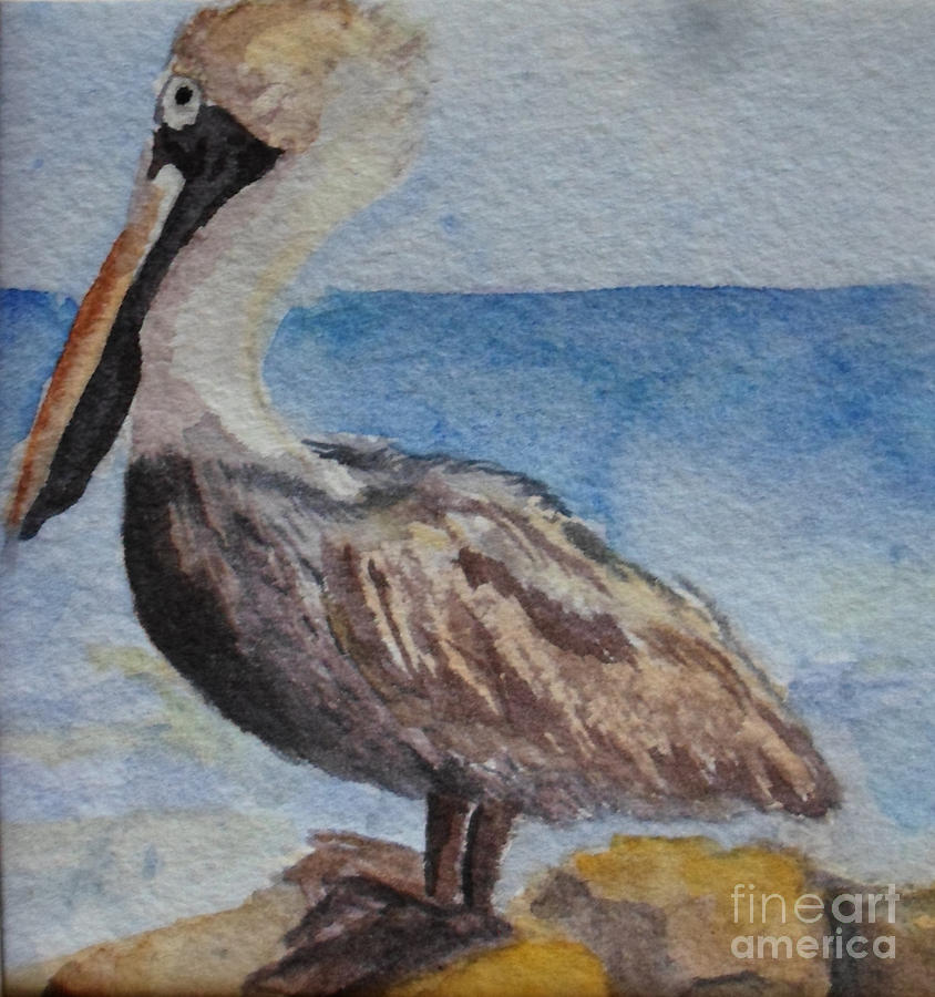 Pelican Brief left Painting by Vicki  Housel