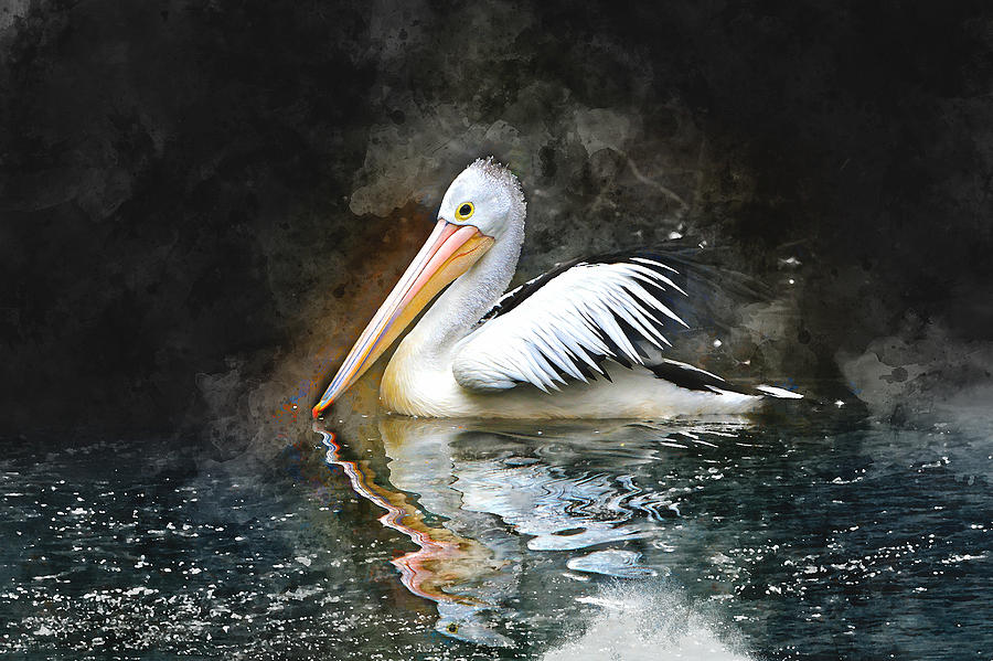 Pelican Brief Mixed Media by Marvin Blaine
