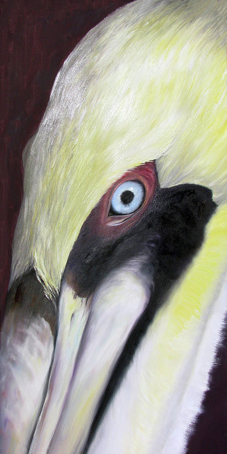 Pelican Painting - Pelican CloseUp 1 by Judy Merrell