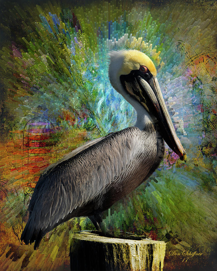 Pelican Colors Digital Art by Don Schiffner