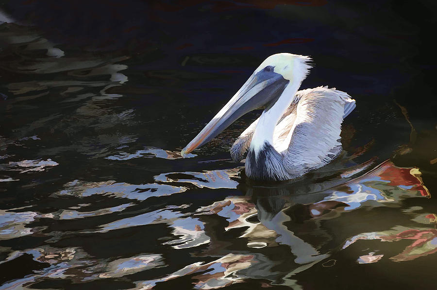Pelican Photograph - Pelican II Oil Painting by Jody Lovejoy
