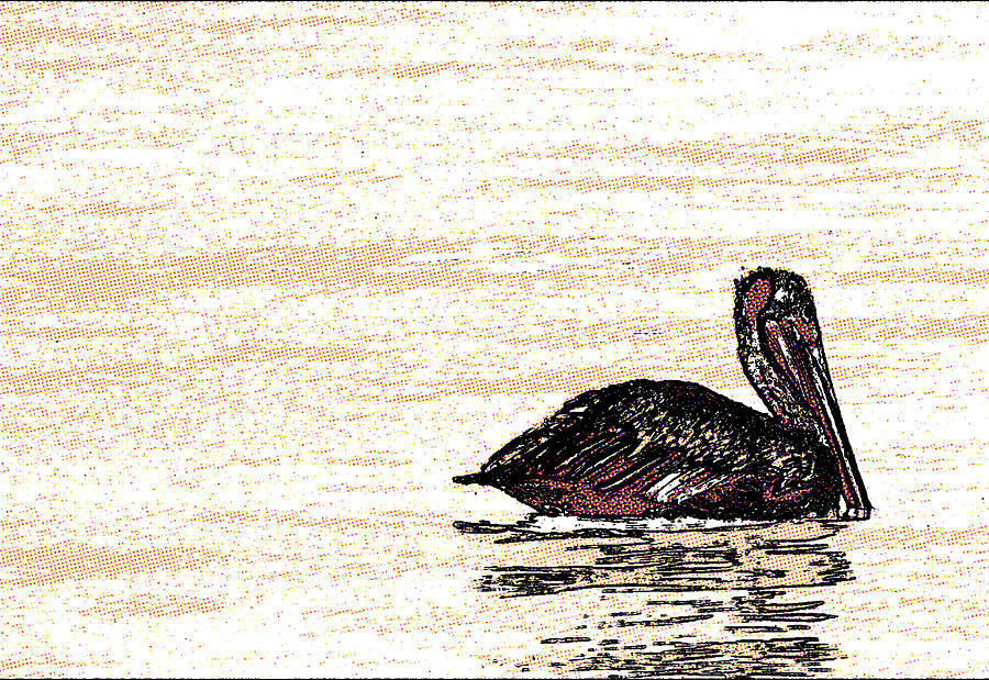 Pelican In Ocean II Photograph