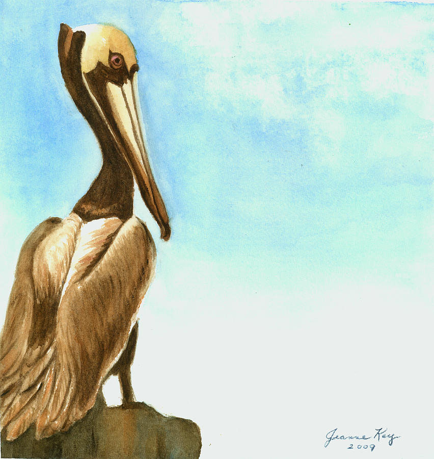 Pelican Painting by Jeanne Juhos