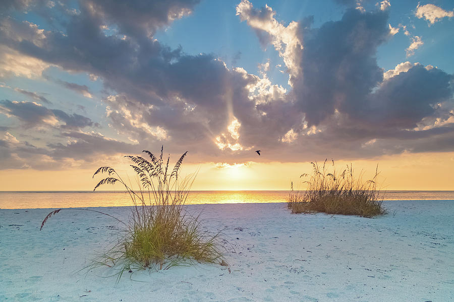 Pelican Landing Beach Park Sunset Photograph by Joe Kopp