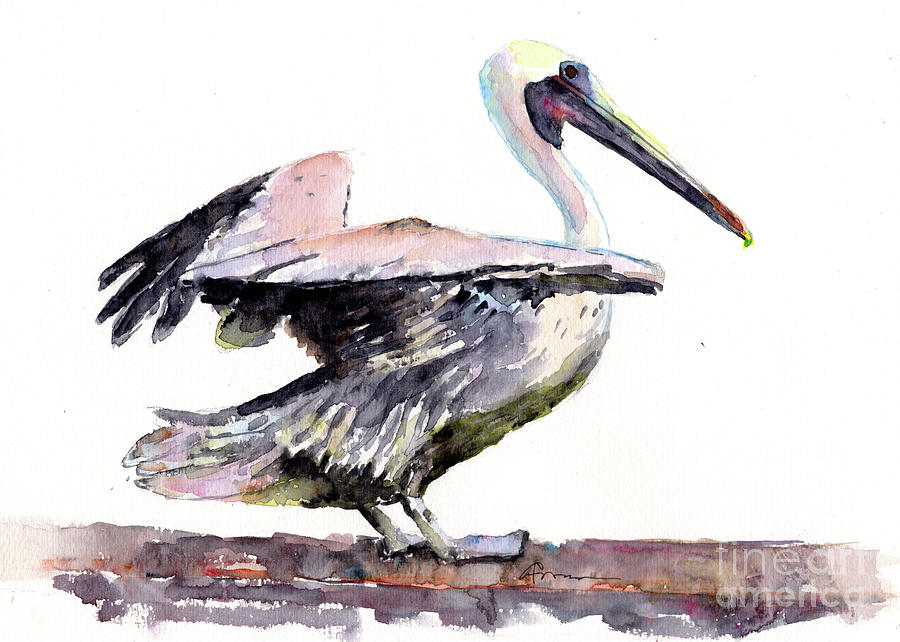 Pelican Landing Painting by Claudia Hafner