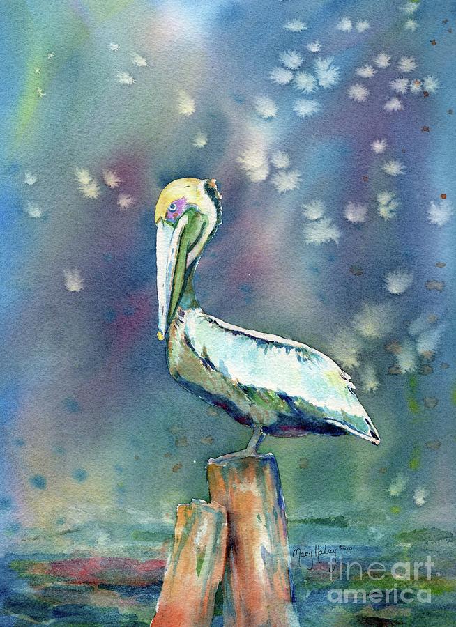 Pelican Painting by Mary Haley-Rocks