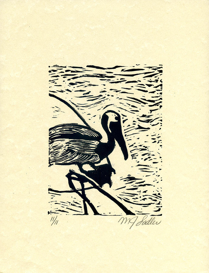 Pelican Drawing by MJ Sadler