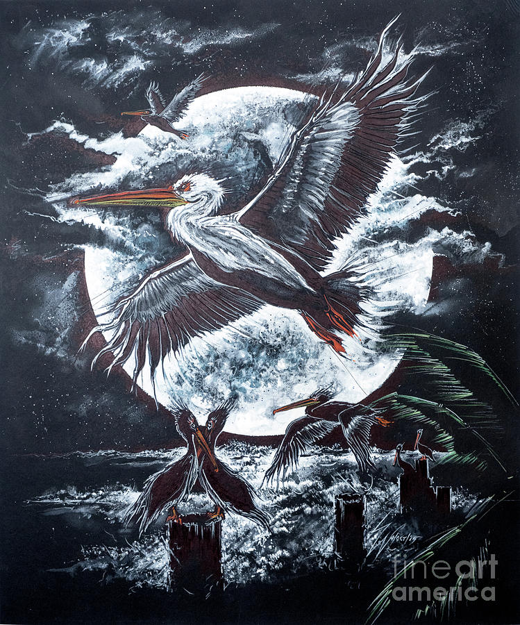 Pelican Moon Drawing by Scott and Dixie Wiley