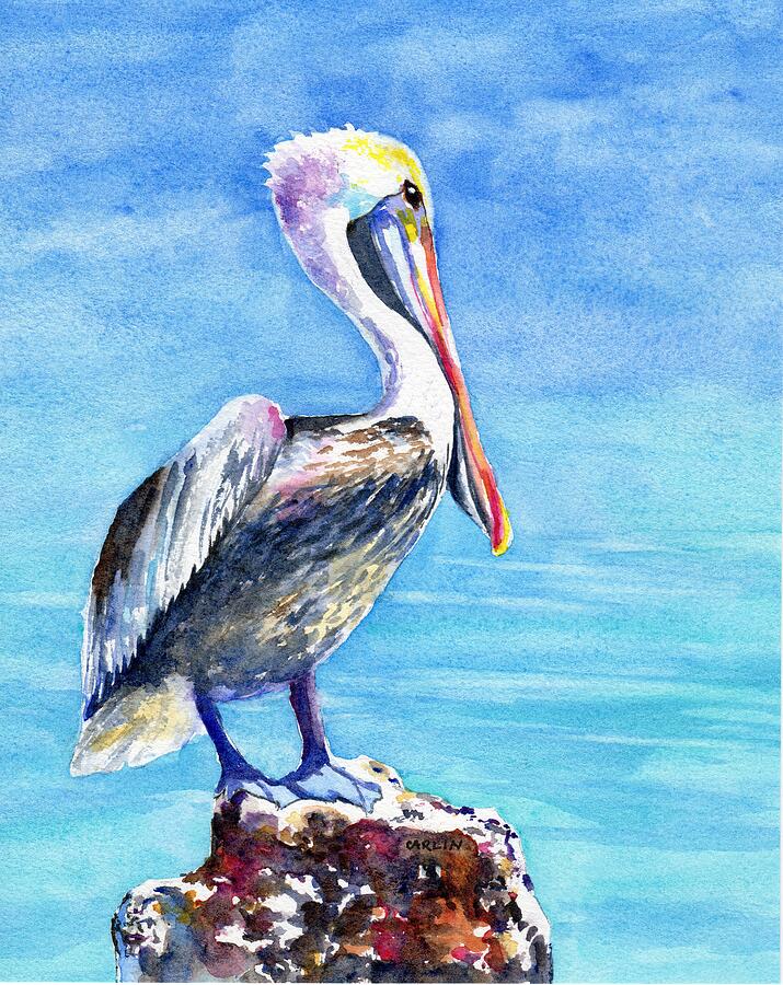 Pelican Painting - Pelican on a Post  by Carlin Blahnik CarlinArtWatercolor