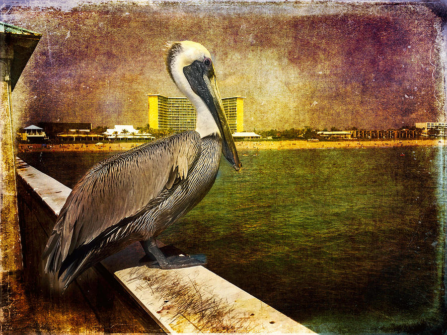 Pelican On The Pier Photograph by Arlene Carmel