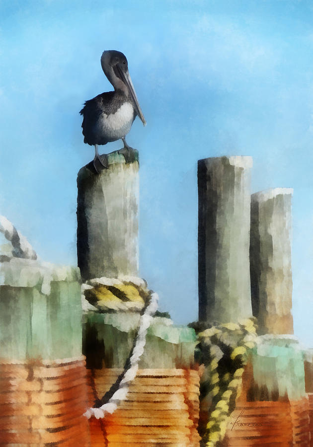 Pelican Perched on a Pier Digital Art by Frances Miller