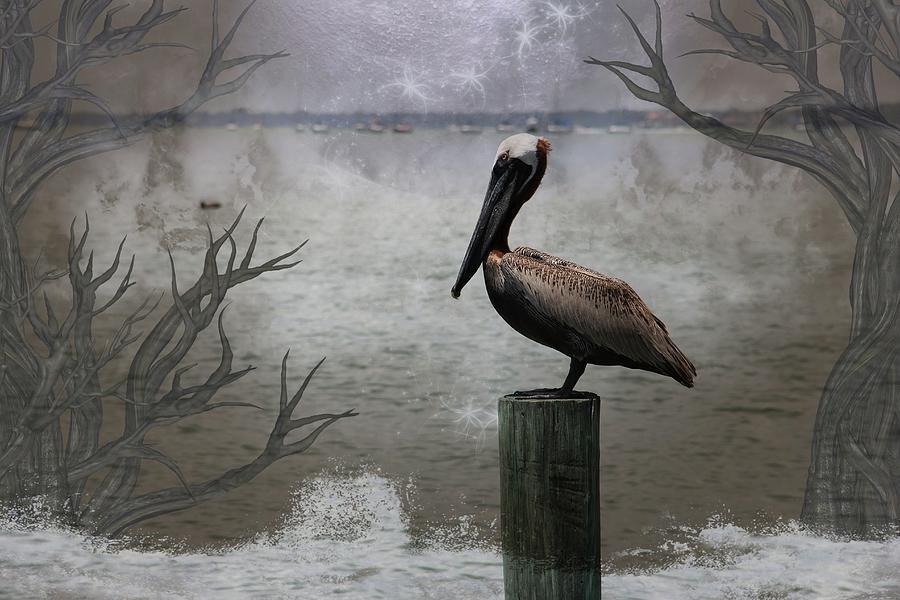 Pelican Photograph - Pelican Perch,ocean,sarasota, by Athala Bruckner