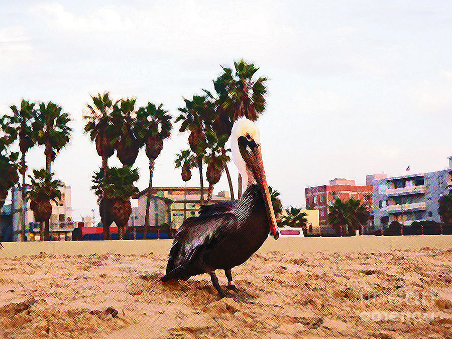 Pelican Photograph - Pelican Portrait by Daniele Smith
