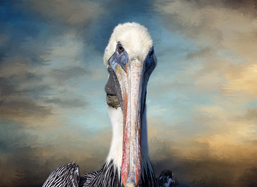 Pelican Profile Photograph by Kim Hojnacki