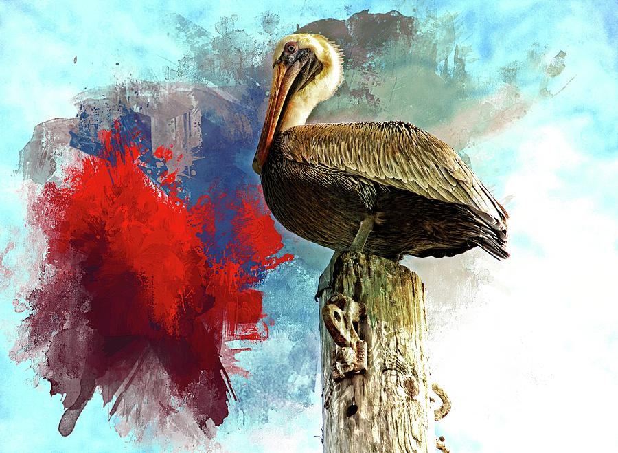 Pelican Red Splash Photograph by Alice Gipson