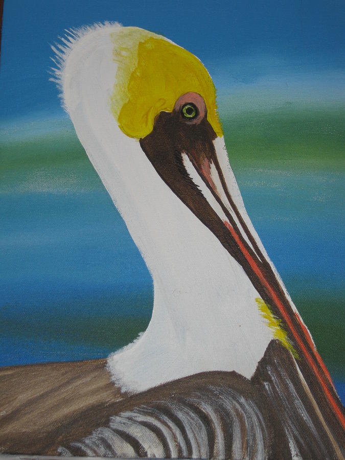 Pelican  Painting by Robert Francis