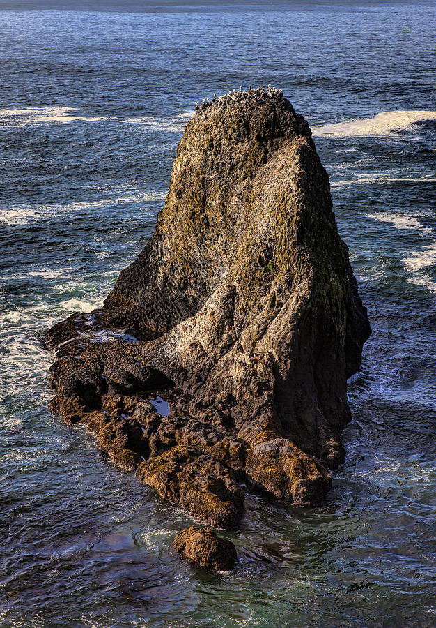 Pelican Rock Photograph by Diana Powell