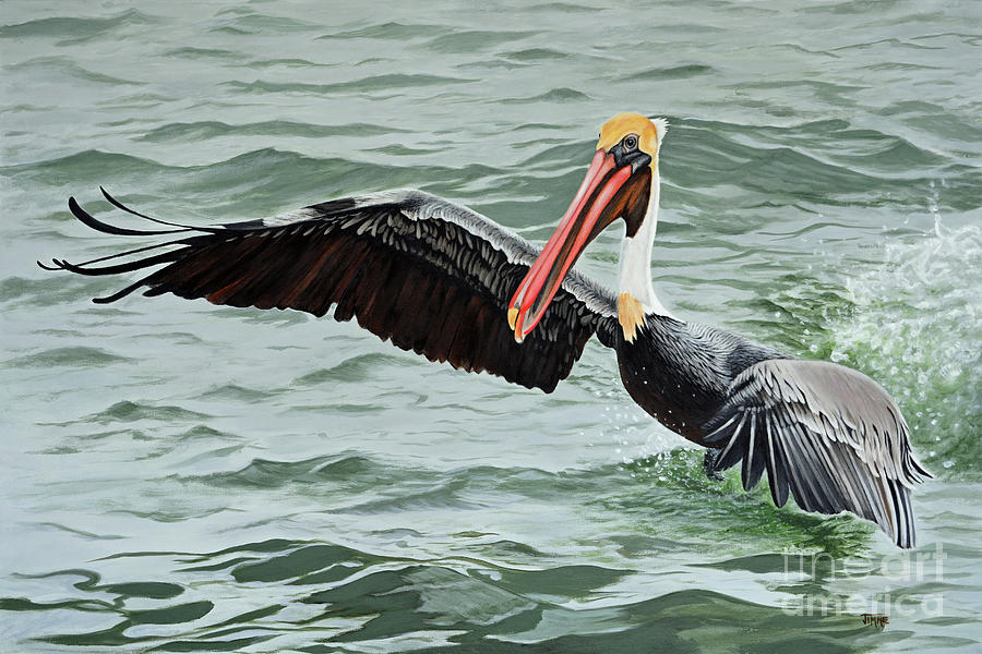 Pelican Splash Painting by Jimmie Bartlett