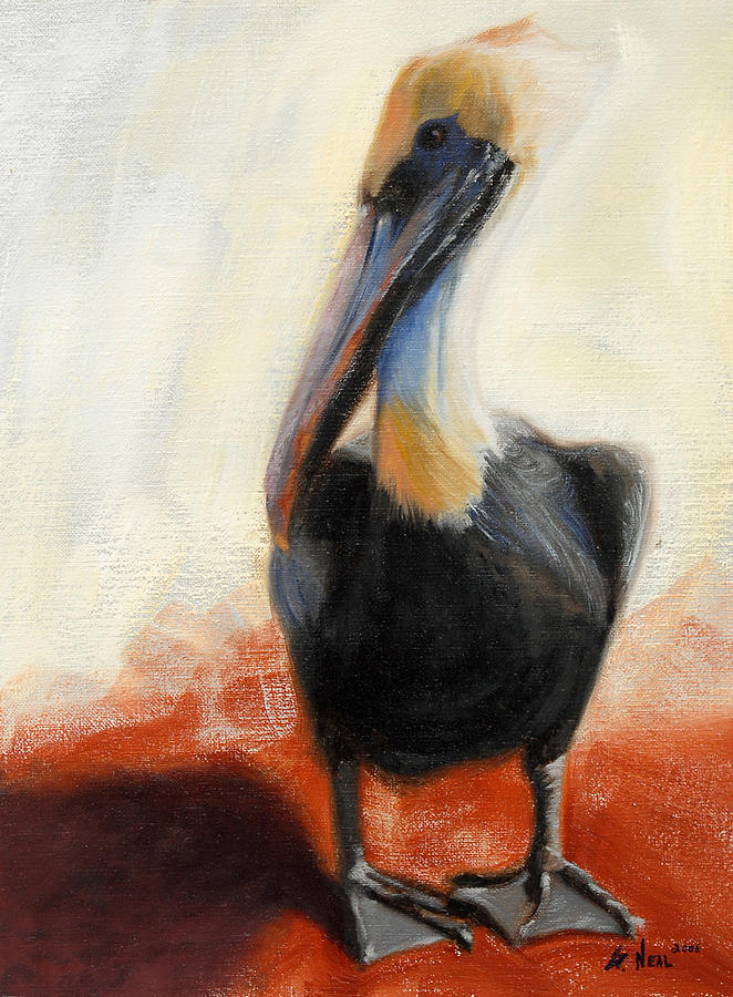 Pelican Painting - Pelican Study by Greg Neal