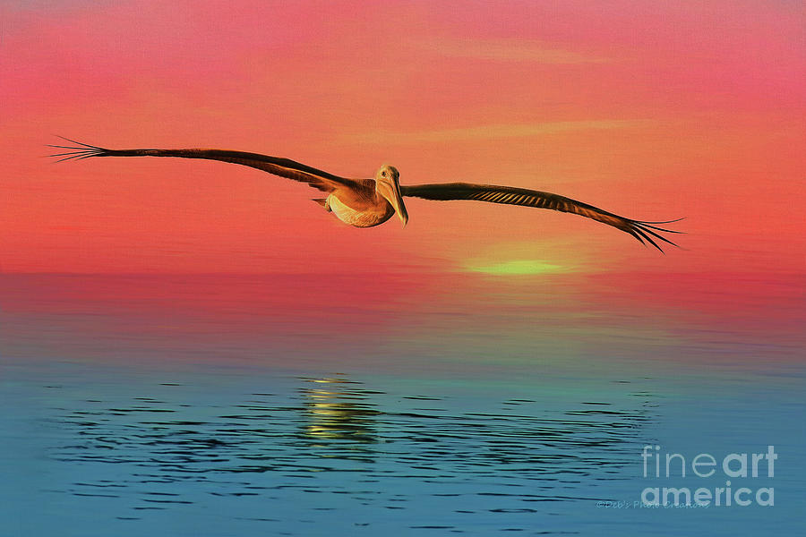 Pelican Sunset Painting by Deborah Benoit